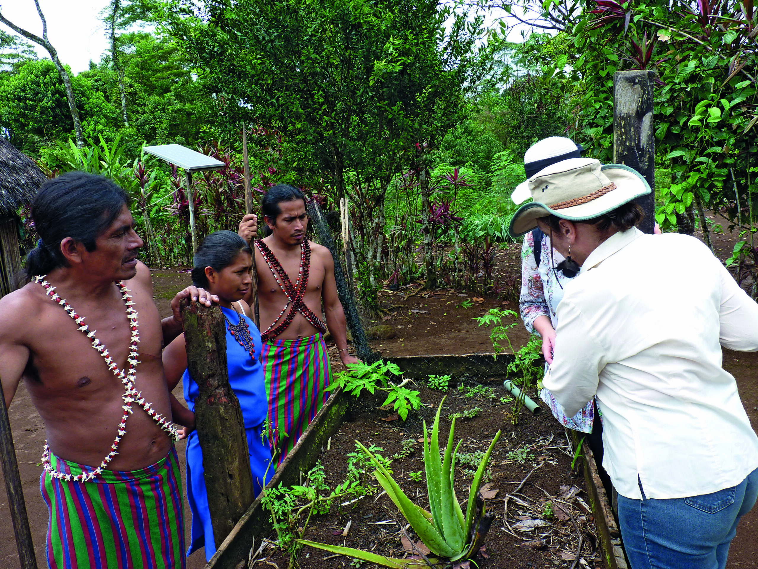 3 Ureinwohner:innen und Margot Esser mit Begleitung sehen Anbau der Aloe Vera Pflanze